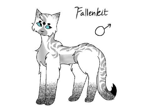 Fallenkit (Hush litter #1) redesign