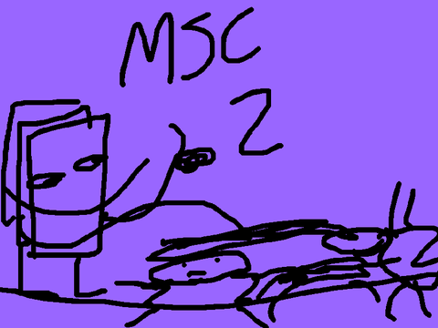 MSC 2A: Steal the crown