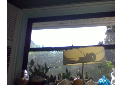 A beautiful day in Florida -w-