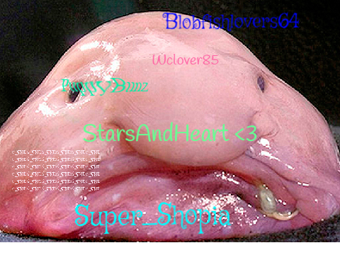 Sign here if your against blobfish hunting remix remix remix remix remix