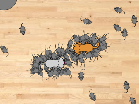 Cat VS. Mouse