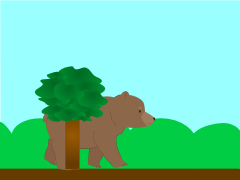Bear