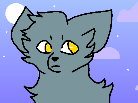 Animation testing