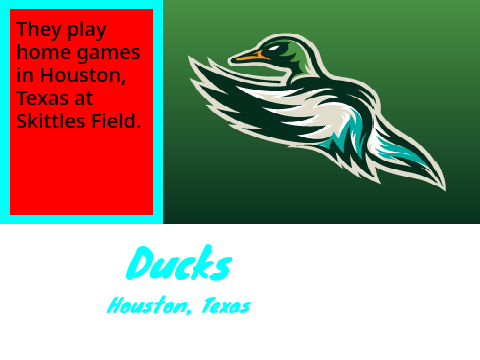 Houston Ducks
