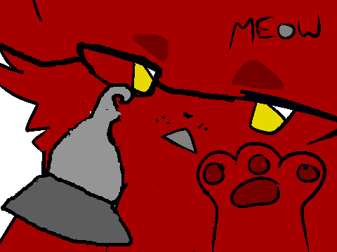 CCE Foxy