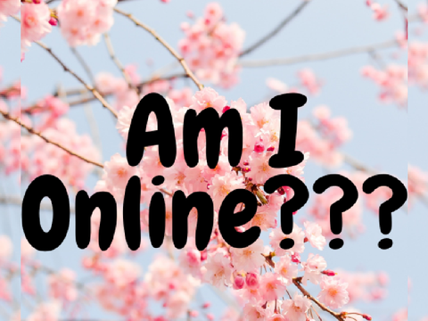Am I Online? 