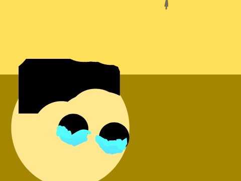 When i lose a follower