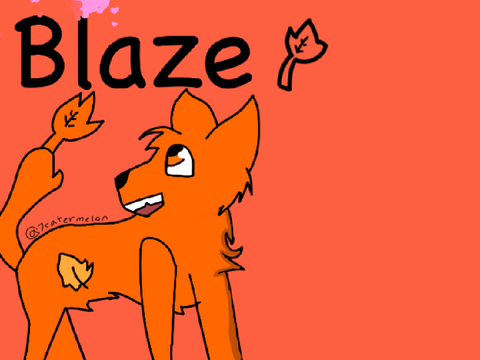 DTAE