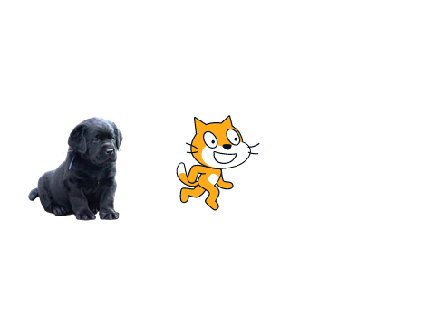 just a running cat with dog