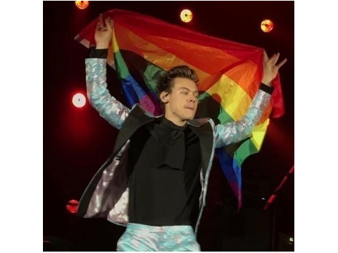 the many shades of harry styles