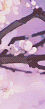 ❀