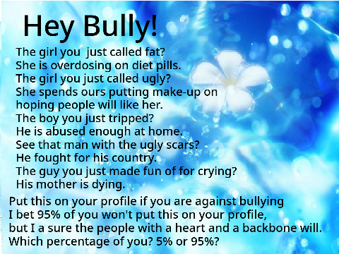 Hey Bully! 