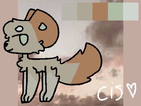 ↹ Cis ↹
