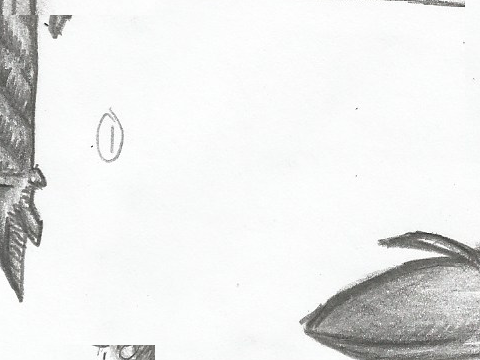 25) Scanned Drawings: 3 - Swords and Mime