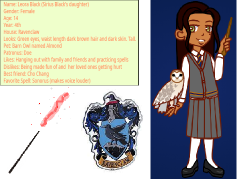 My Harry Potter Character