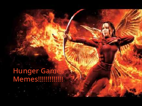 Hunger Games Gifs