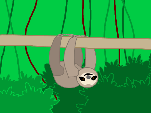 Sloth