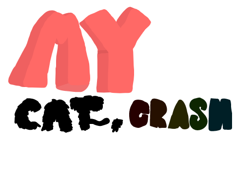my cat, Crash || this cat is evil