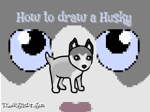 How to draw a Husky