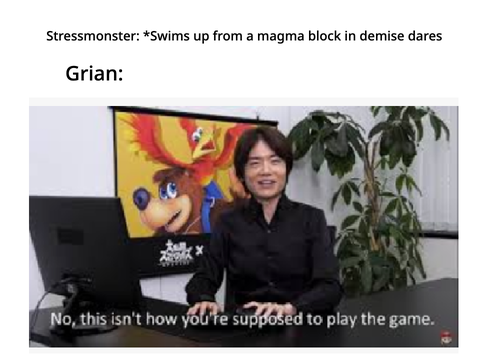 MC meme 2