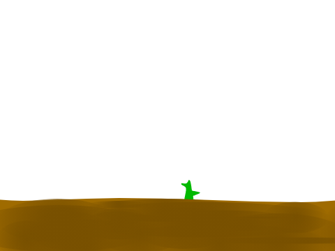 Animation Dump