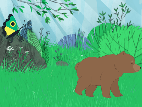 Bear in the forest in summer :D remix37339393333333333333333