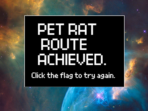 rat sim