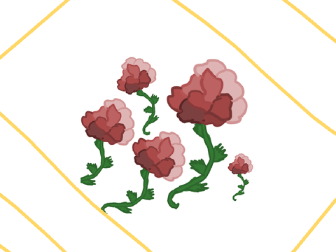 Pink/Red Roses.