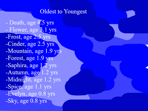HOTW-Some of My Characters' Ages Revealed
