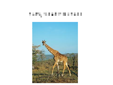 stop animal cruelty remix remix remix remix remix
