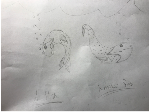 Fish.