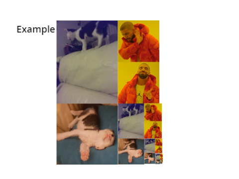 Just a cat meme template