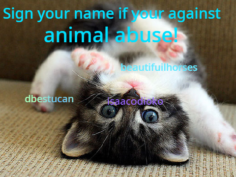 Sign if you are against animal abuse! remix remix