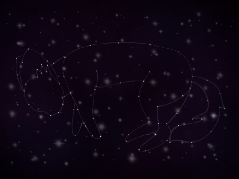 The Cat Made of Stars