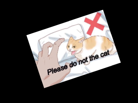 Please do not the cat.