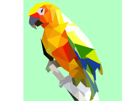 My First Polyart - Sun Conure