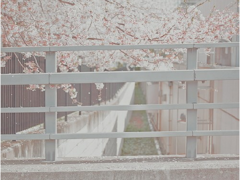 ❀ remix-2