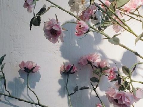 ❀ remix-3