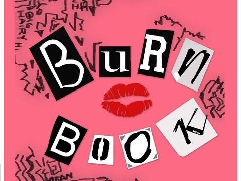 if I had a Burn Book