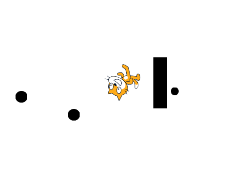 protect the cat