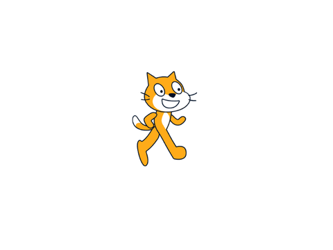 1000 variations meow
