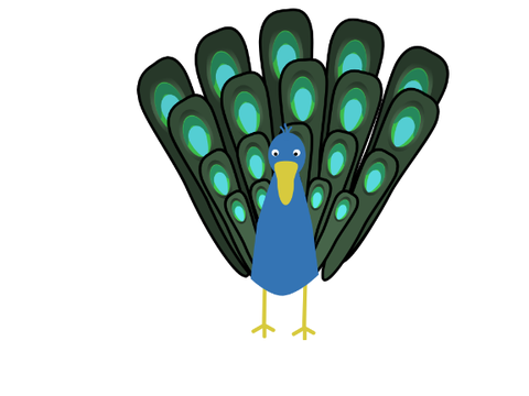 A Peacock
