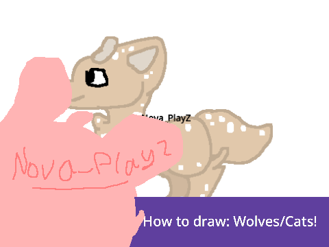 How to draw: Wolves/Cats