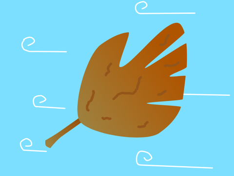 rippling leaf experiment 