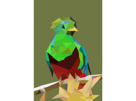 Male Resplendent Quetzal Polyart