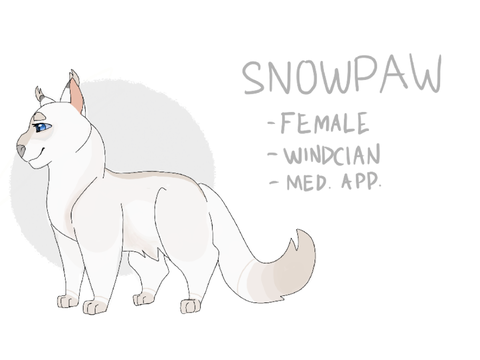 Two Birds Warrior character ref