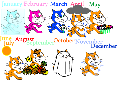 1 Year!