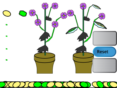 Mendel Pea Simulation