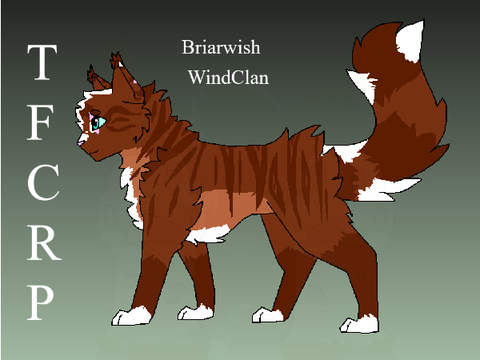 Briarwish REF
