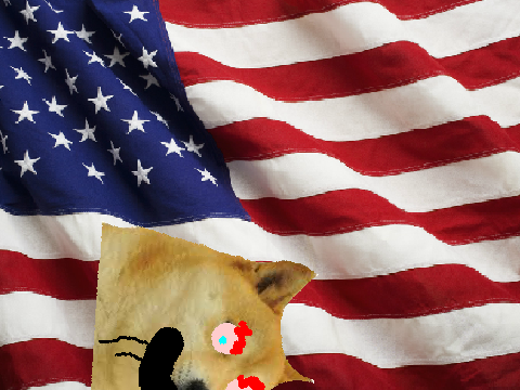 Talk To Doge upside down